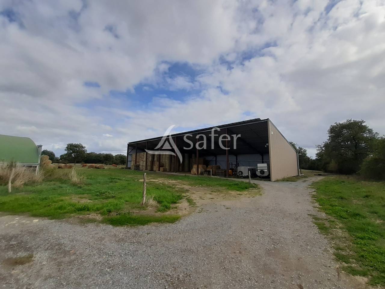 Schapen exploitatie Koop Vienne