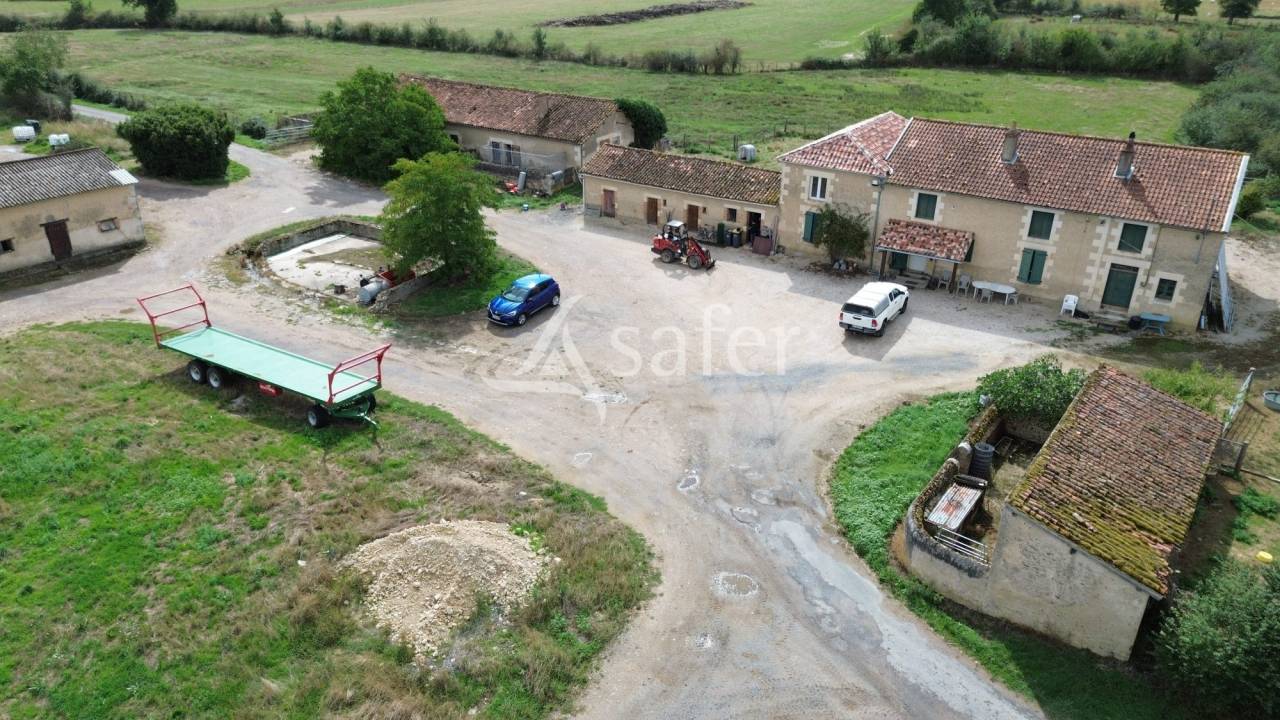 Schapen exploitatie Koop Vienne