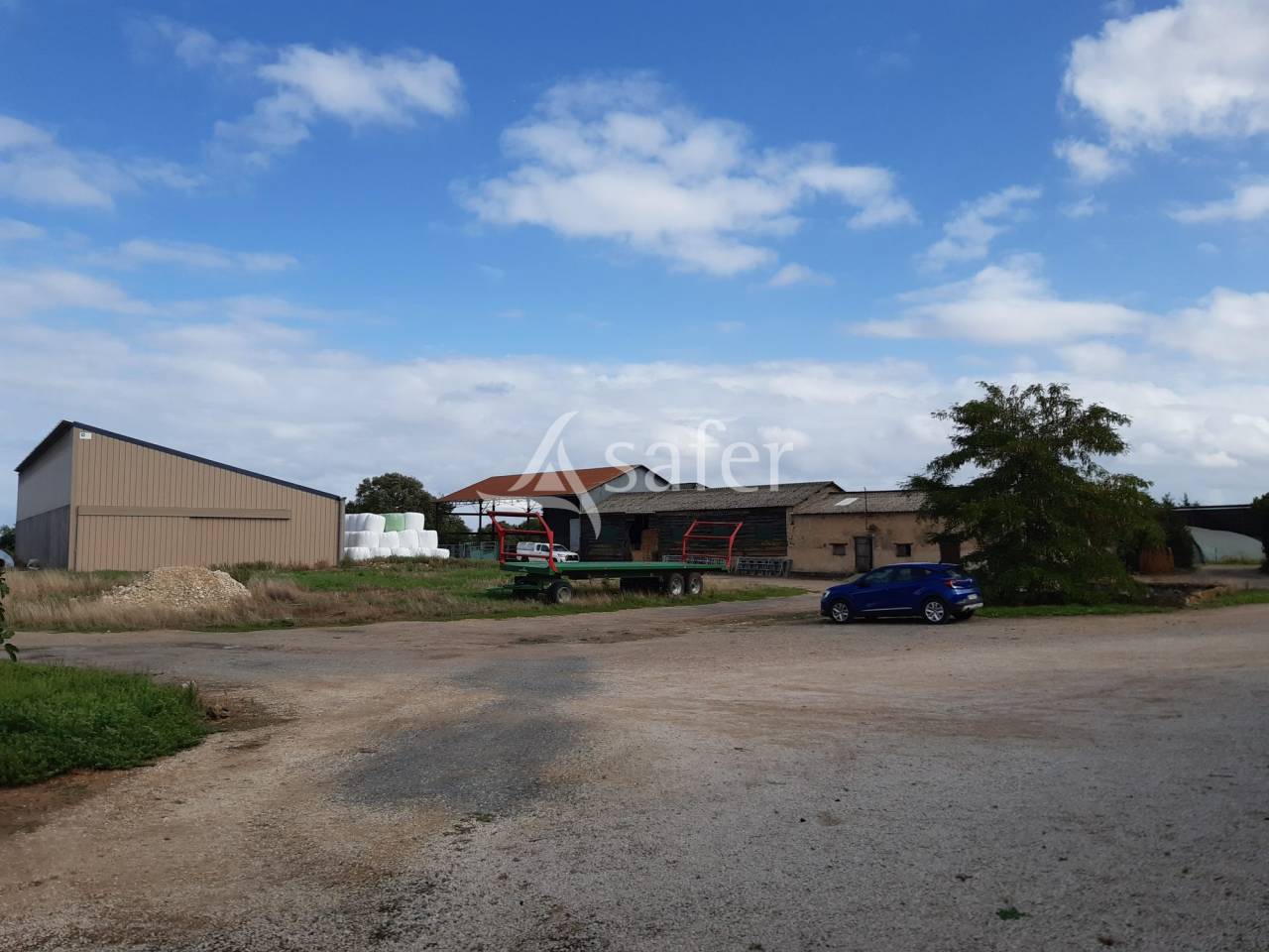 Schapen exploitatie Koop Vienne