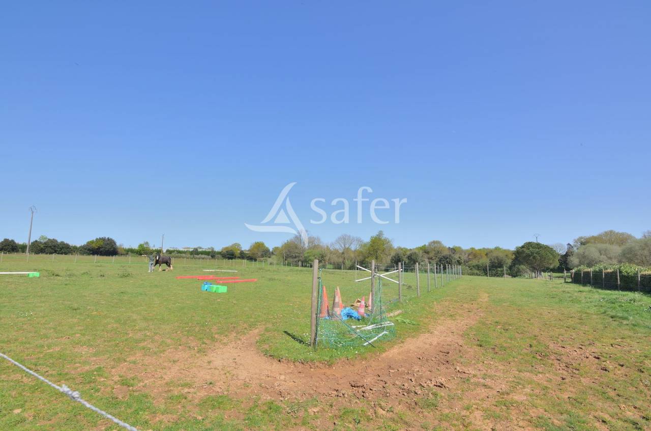 Ander plattelands vastgoed Koop Vendée