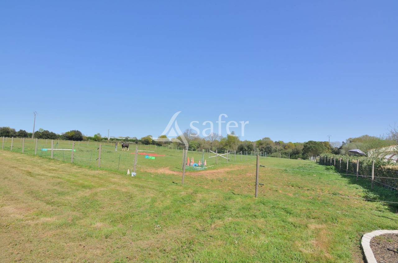 Ander plattelands vastgoed Koop Vendée