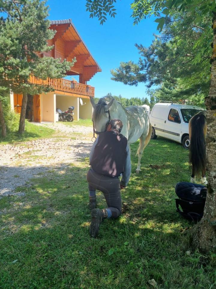 Ruin Berber Te koop 2010 Wit ,  HIZAHAU