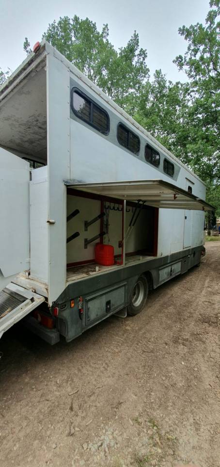Zware paardenvrachtwagen (groot rijbewijs) Renault  2001 Tweedehands