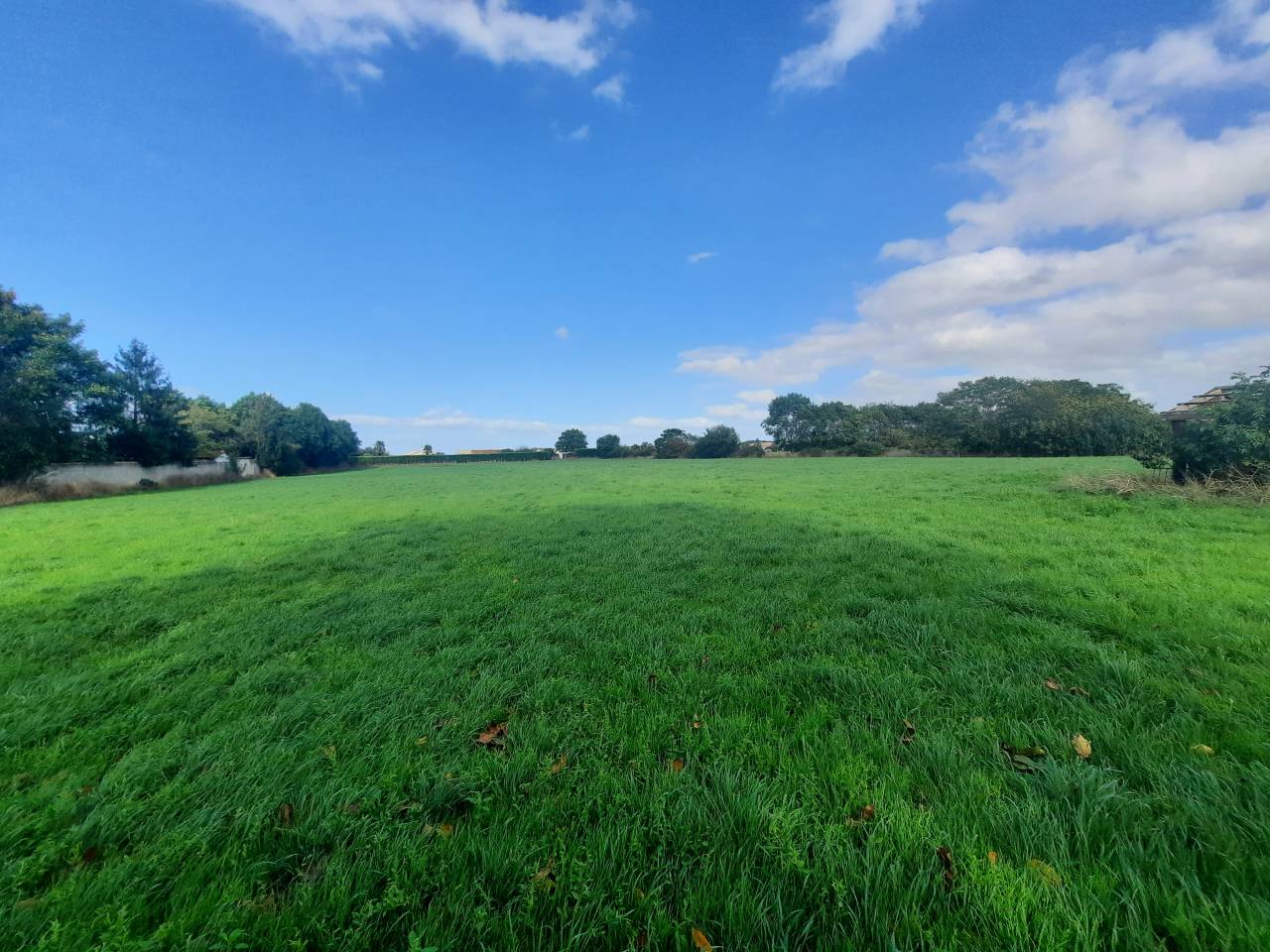 Hippisch vastgoed Koop Charente-Maritime