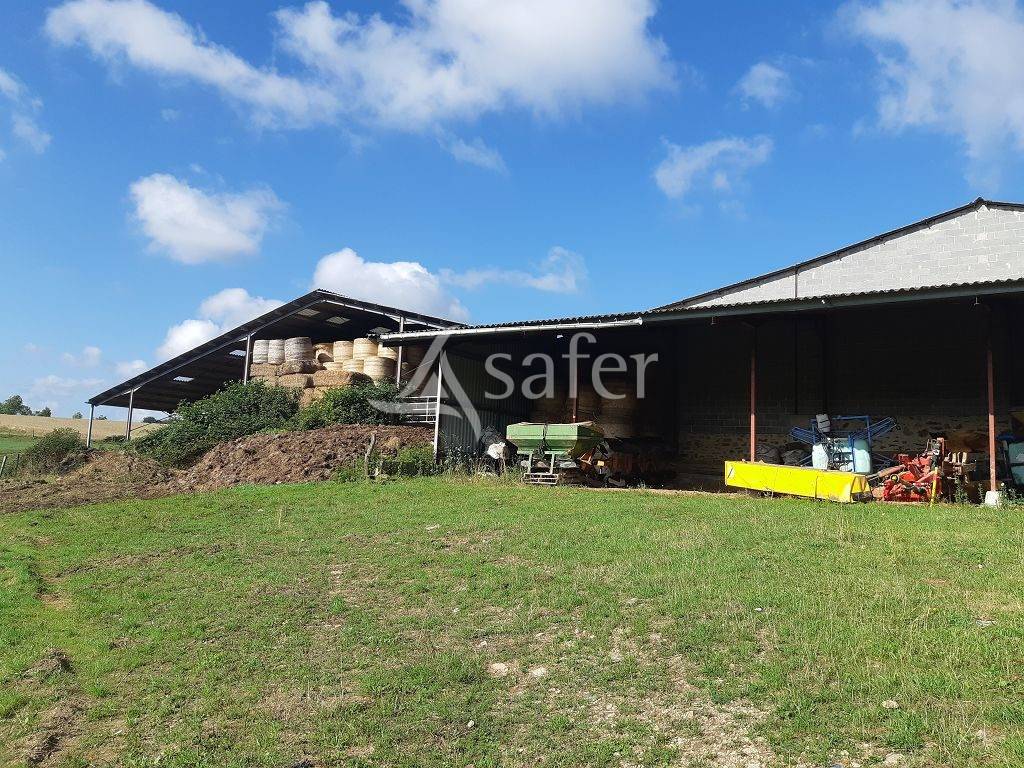 Landbouw bedrijf Koop Haute-Vienne