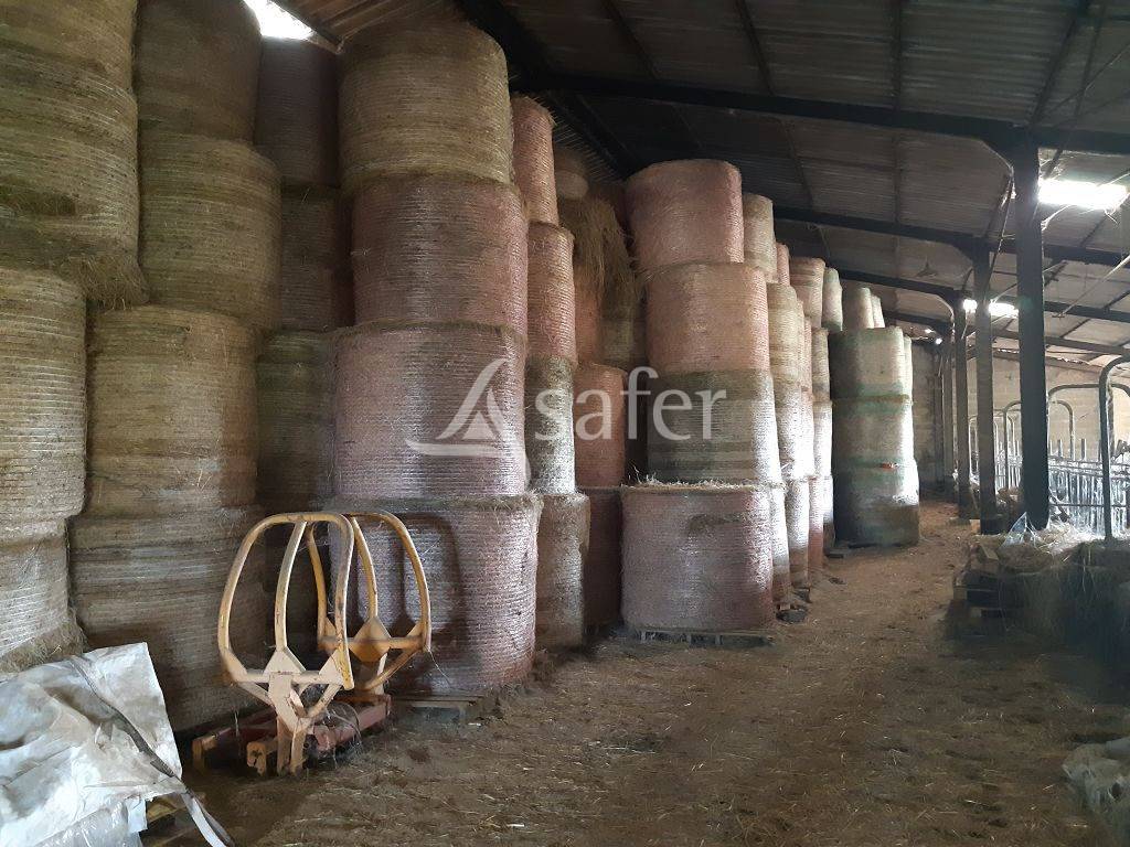 Landbouw bedrijf Koop Haute-Vienne