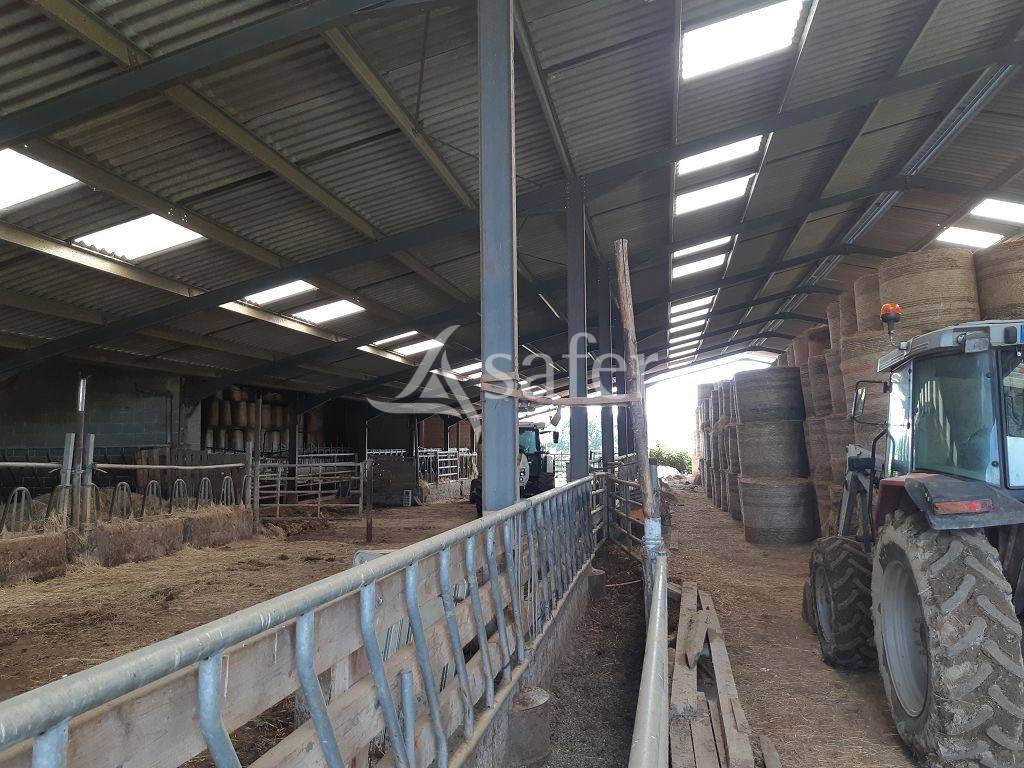 Landbouw bedrijf Koop Haute-Vienne