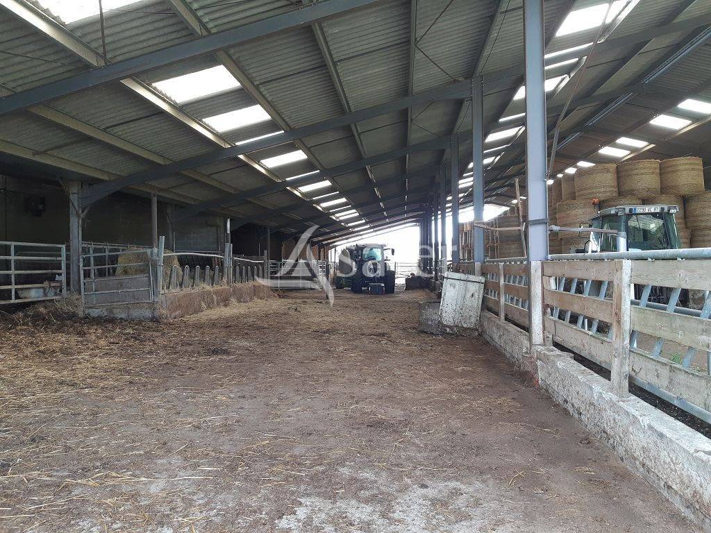 Landbouw bedrijf Koop Haute-Vienne