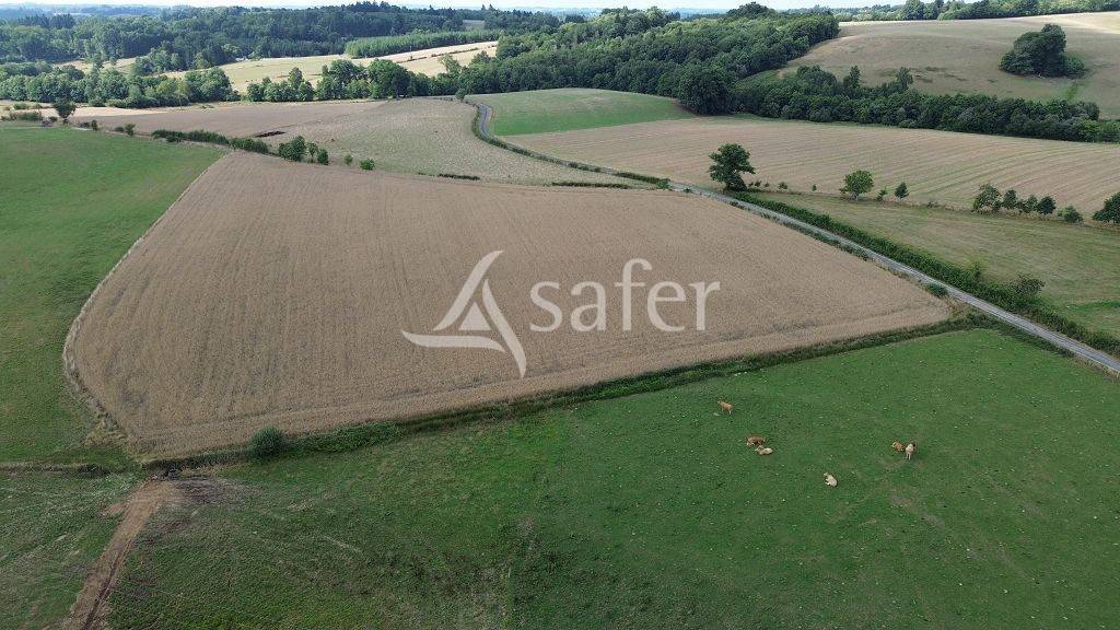 Landbouw bedrijf Koop Haute-Vienne