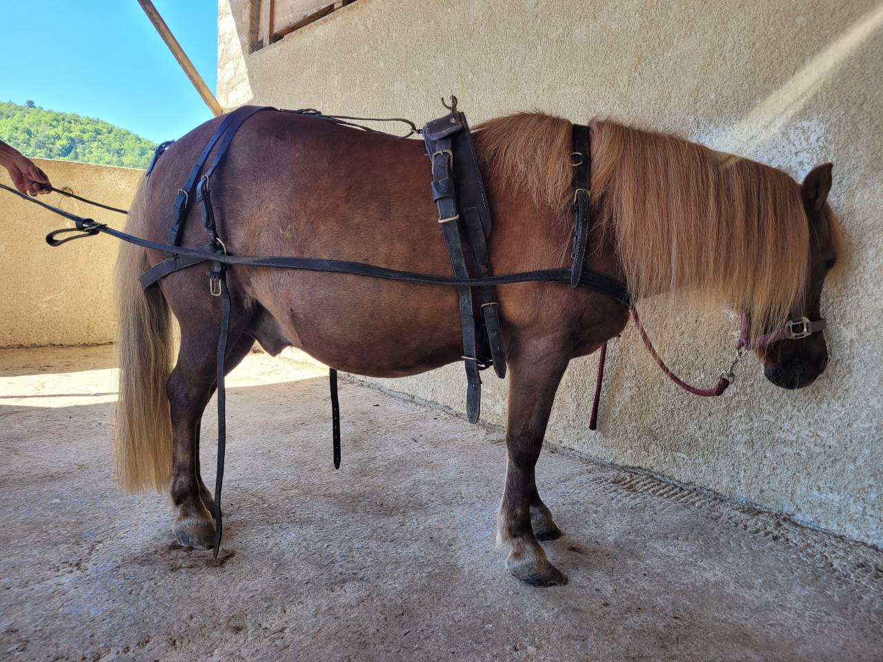 Rijtuigen - Ander rijtuig - Ander merk -  