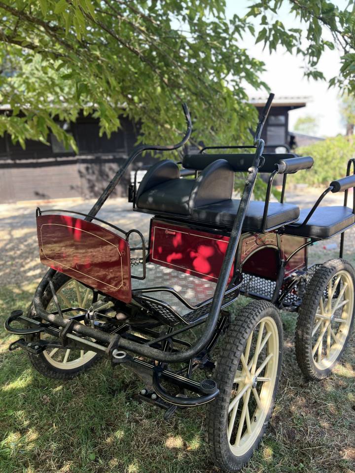 Rijtuigen - Marathon vrijetijd Pouvreau Dresseuse 1 grand poney 