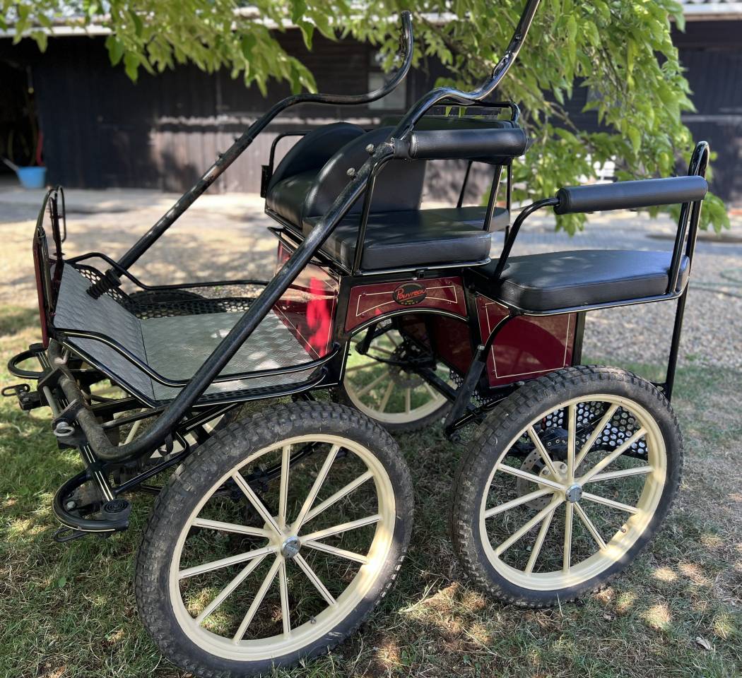 Rijtuigen - Marathon vrijetijd Pouvreau Dresseuse 1 grand poney 