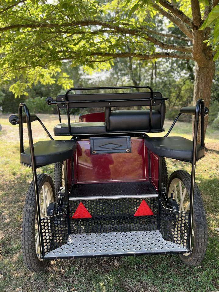 Rijtuigen - Marathon vrijetijd Pouvreau Dresseuse 1 grand poney 