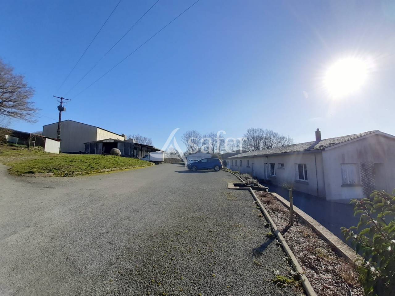 Kippen exploitatie Koop Deux-Sèvres