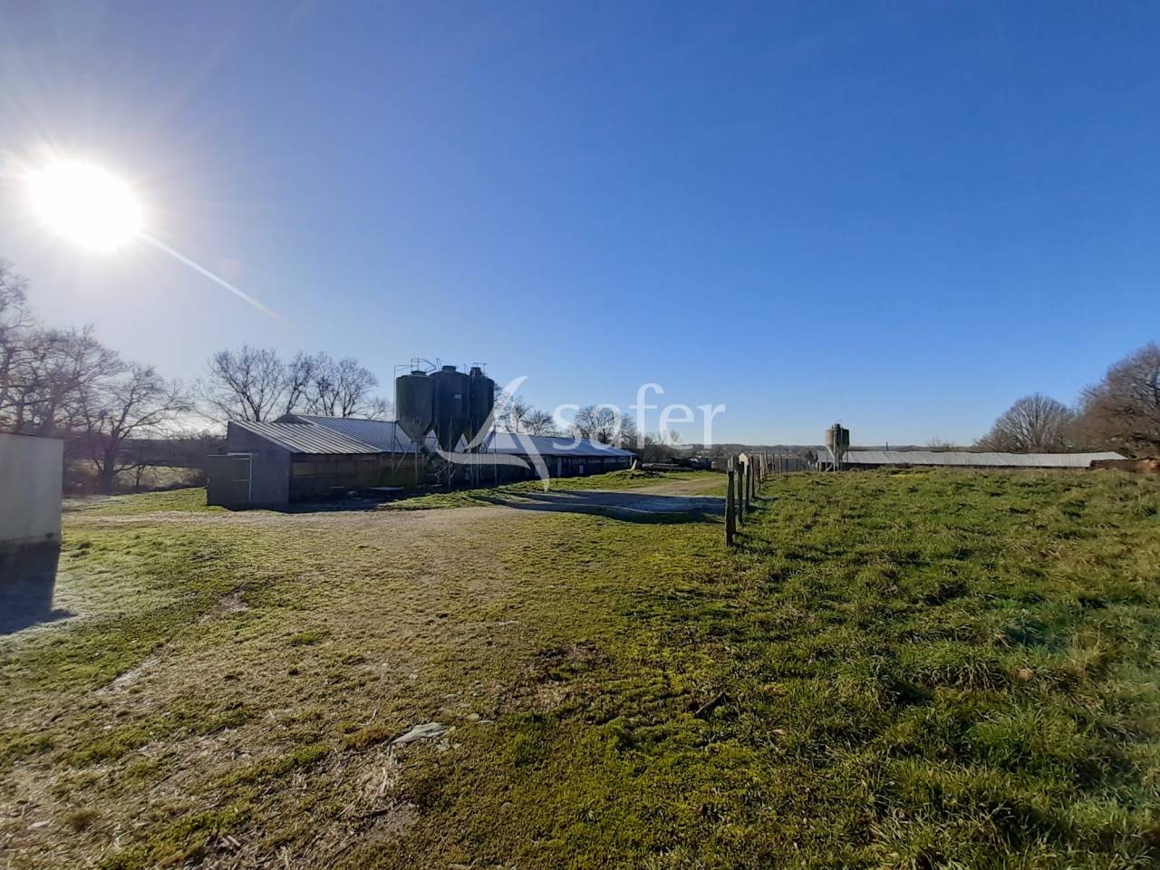 Kippen exploitatie Koop Deux-Sèvres