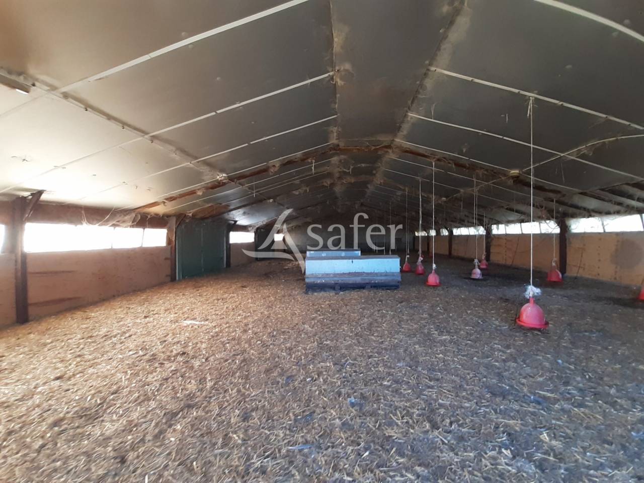 Kippen exploitatie Koop Deux-Sèvres