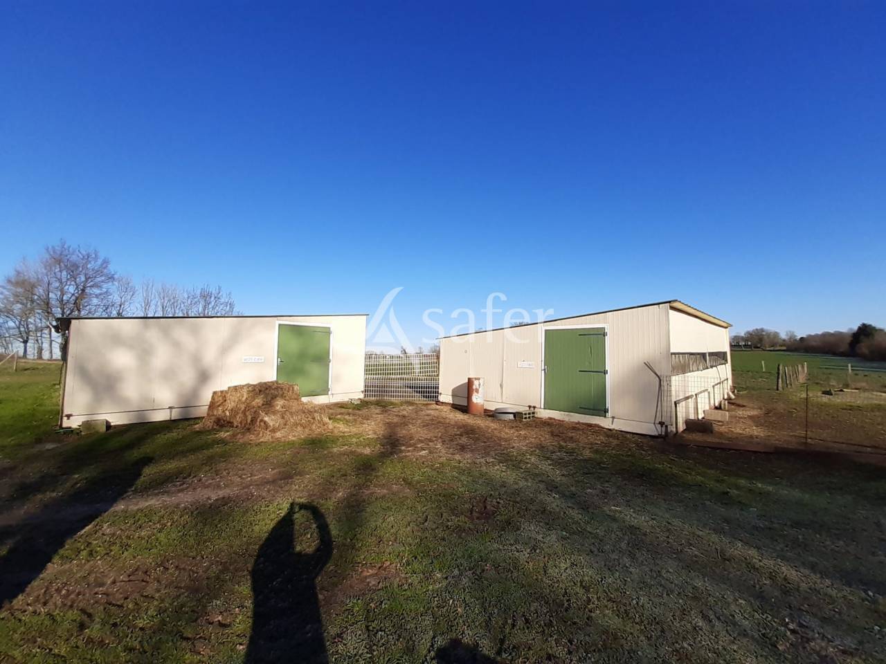 Kippen exploitatie Koop Deux-Sèvres