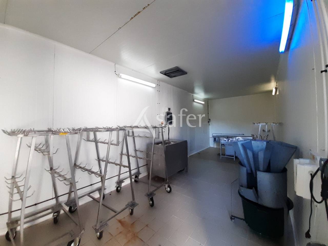 Kippen exploitatie Koop Deux-Sèvres