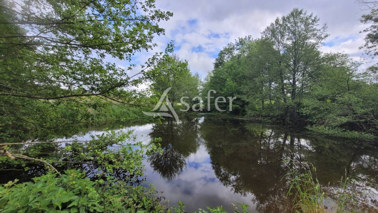 Kippen exploitatie Koop Deux-Sèvres