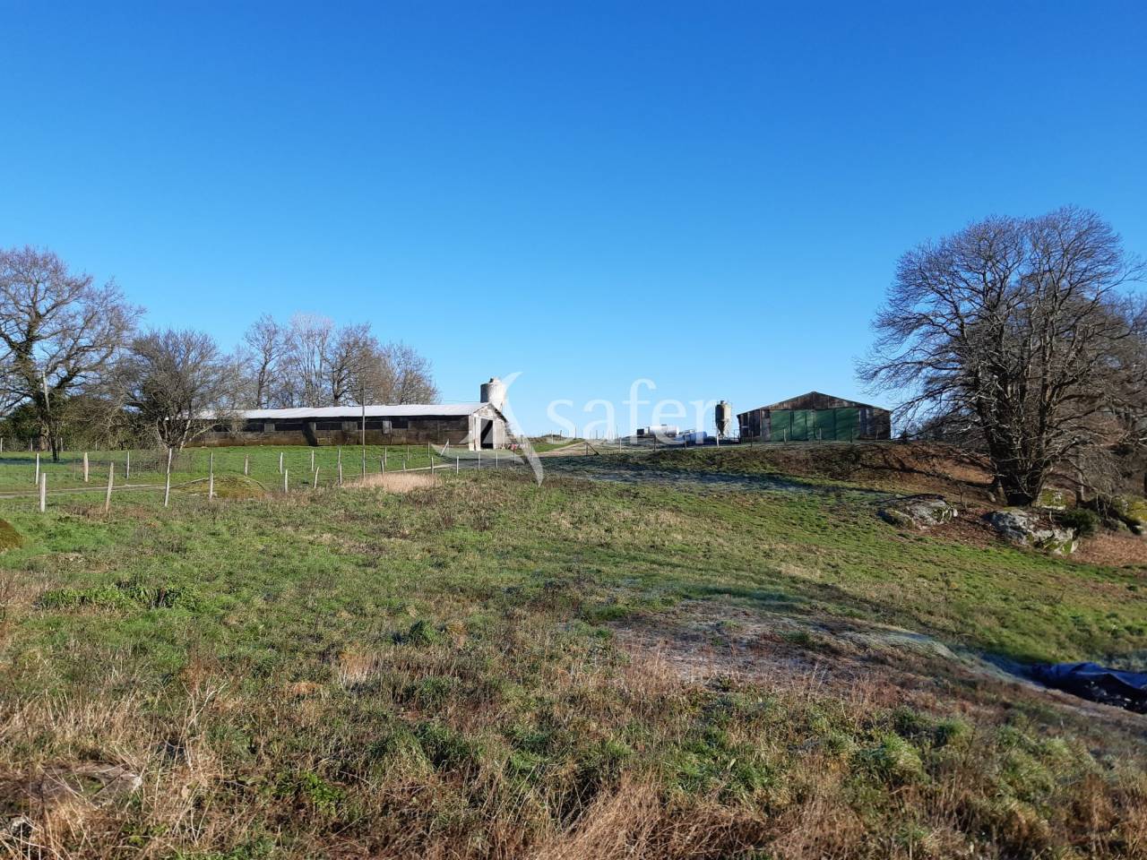 Kippen exploitatie Koop Deux-S&egrave;vres