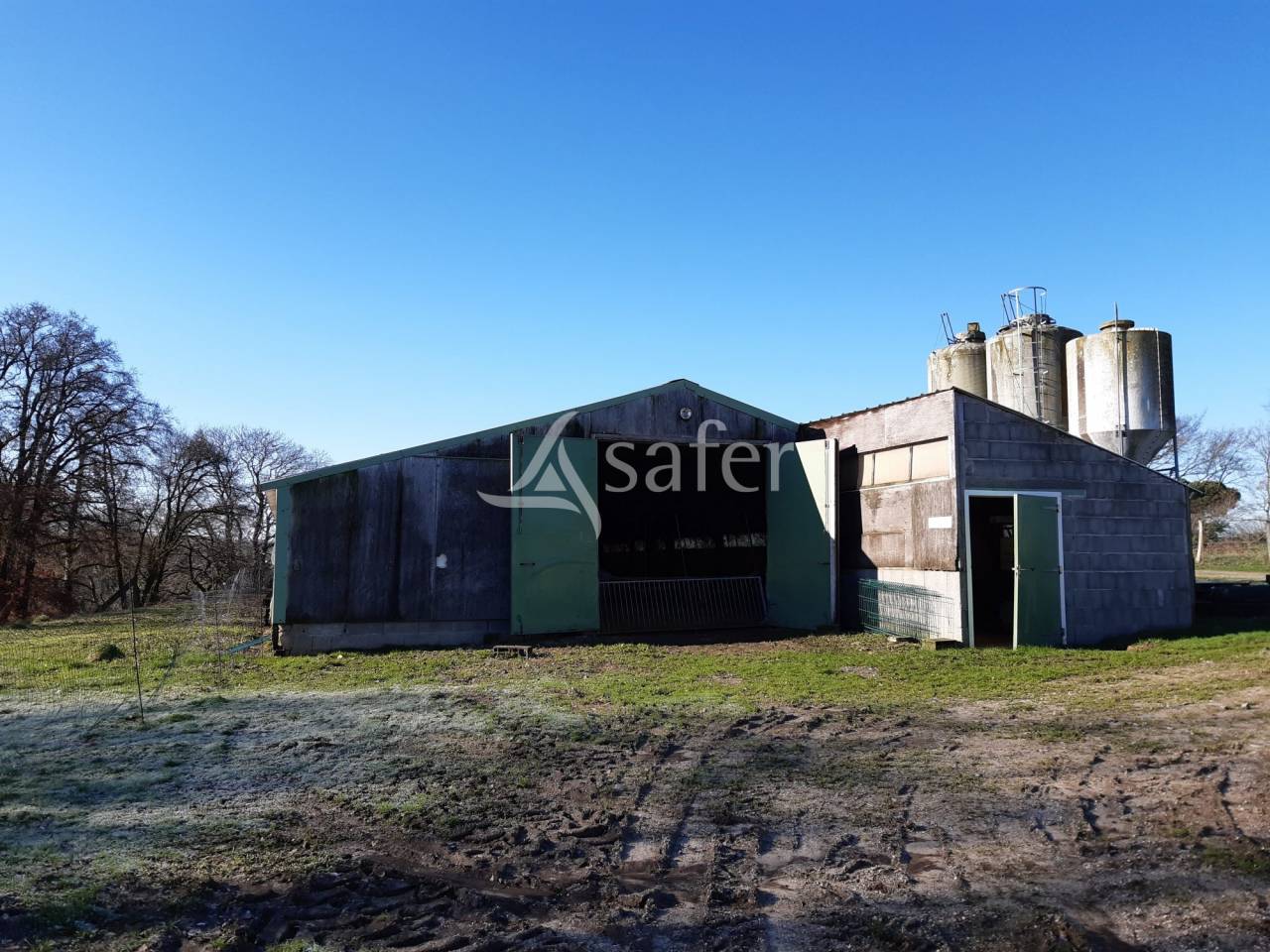 Kippen exploitatie Koop Deux-S&egrave;vres