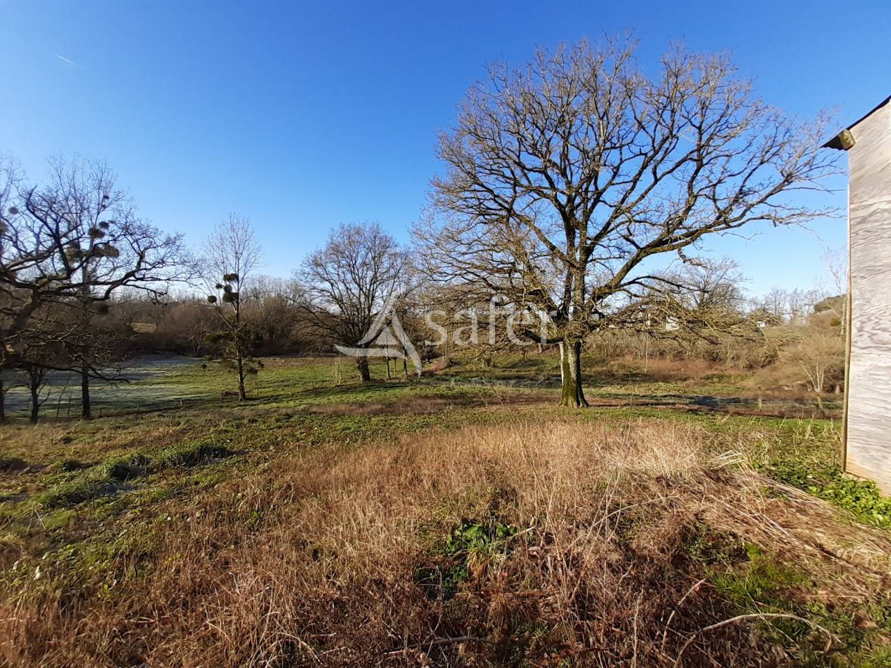 Kippen exploitatie Koop Deux-S&egrave;vres