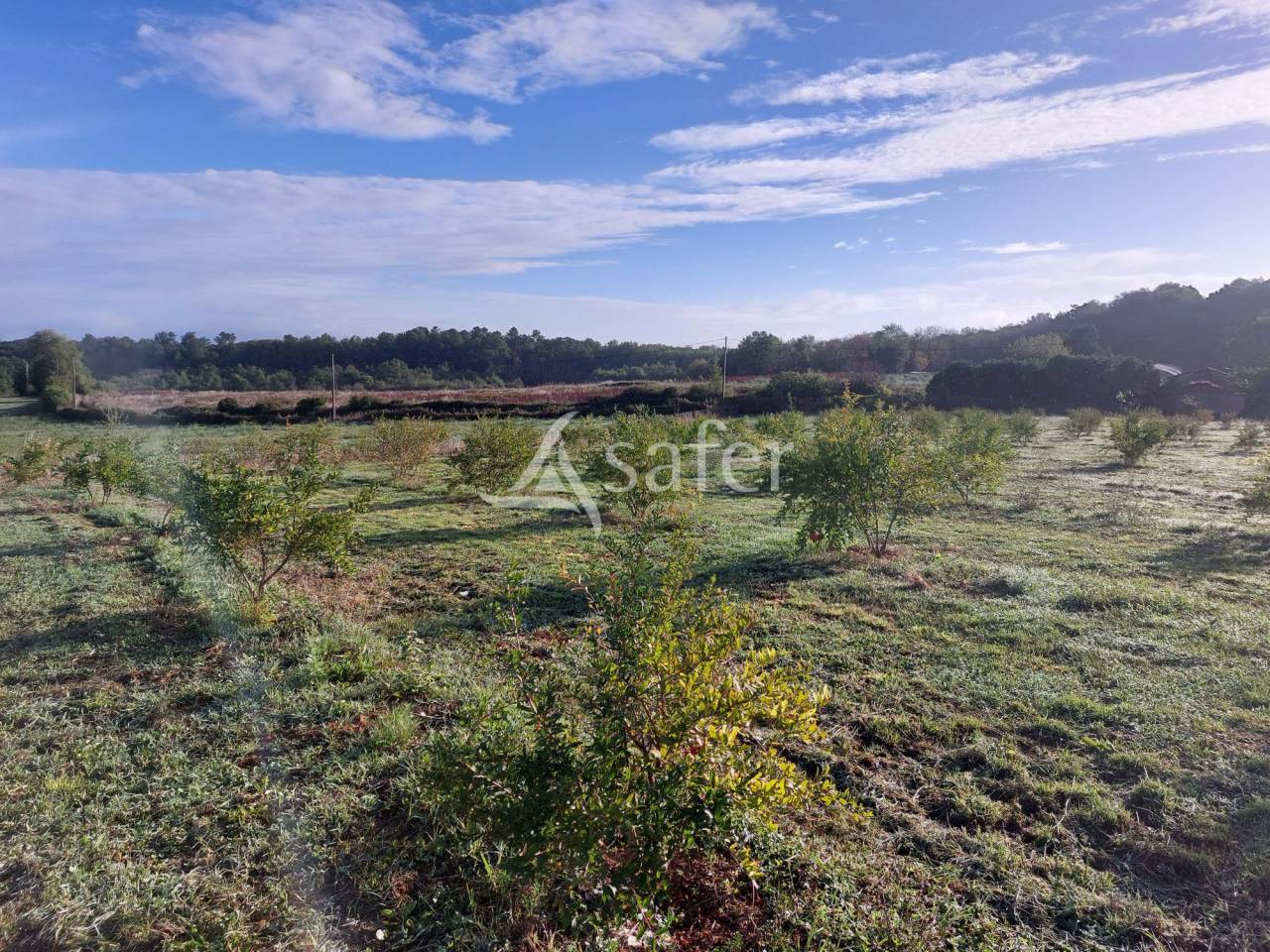 Landbouw bedrijf Koop Dordogne