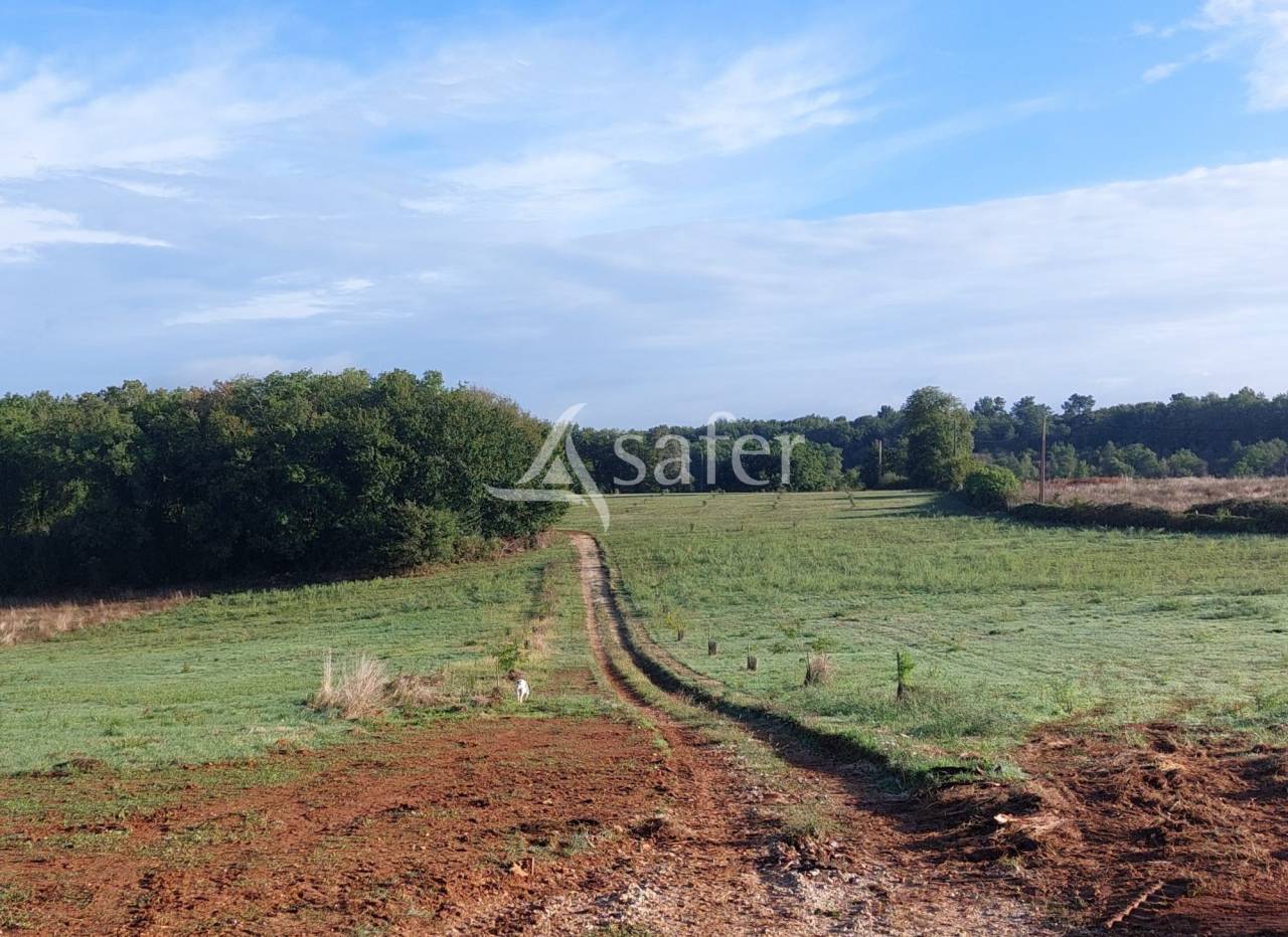 Landbouw bedrijf Koop Dordogne