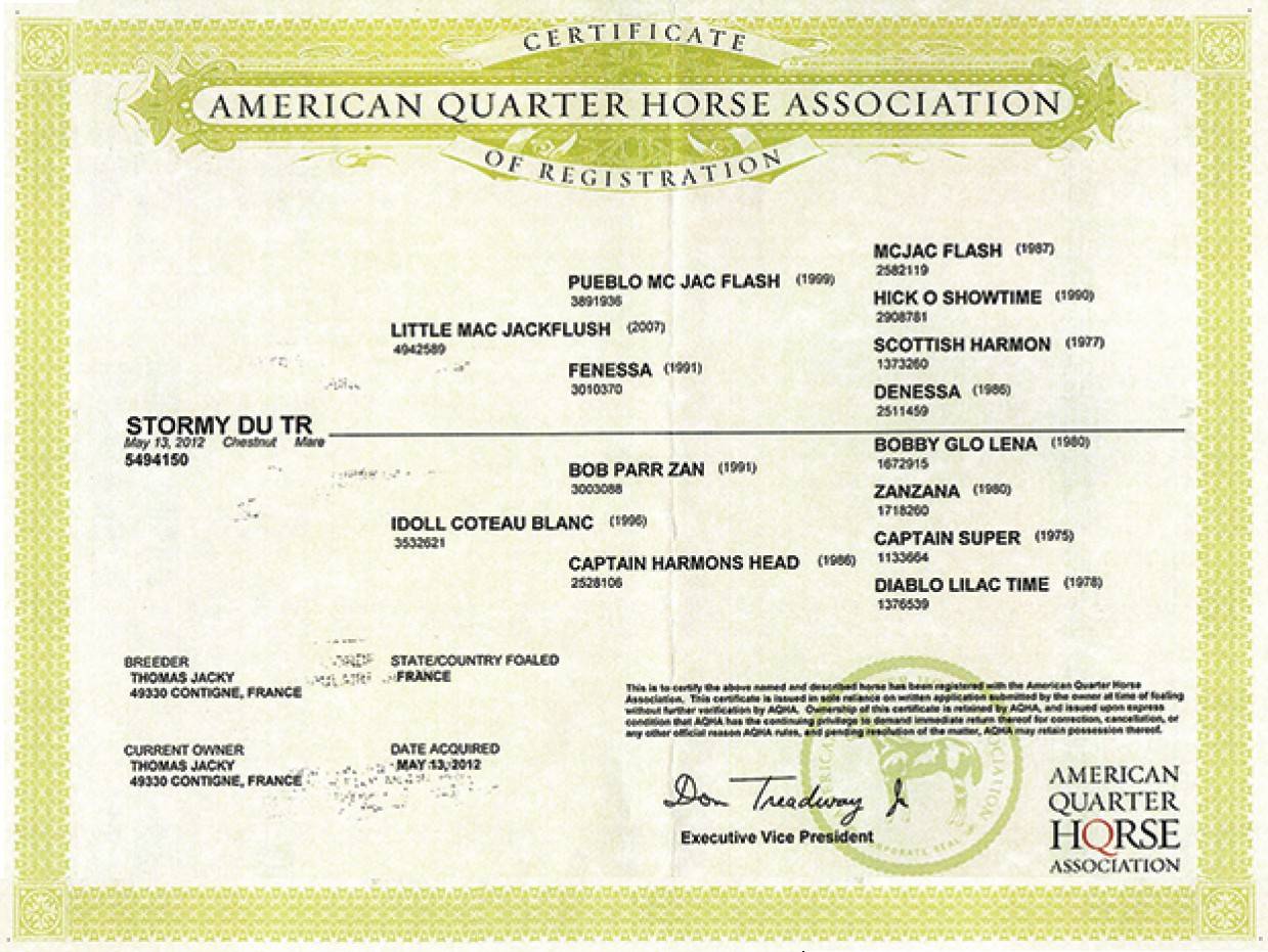 Merrie Quarter Horse Te koop 2012 Vos ,  LITTLE MAC JACKFLUSH