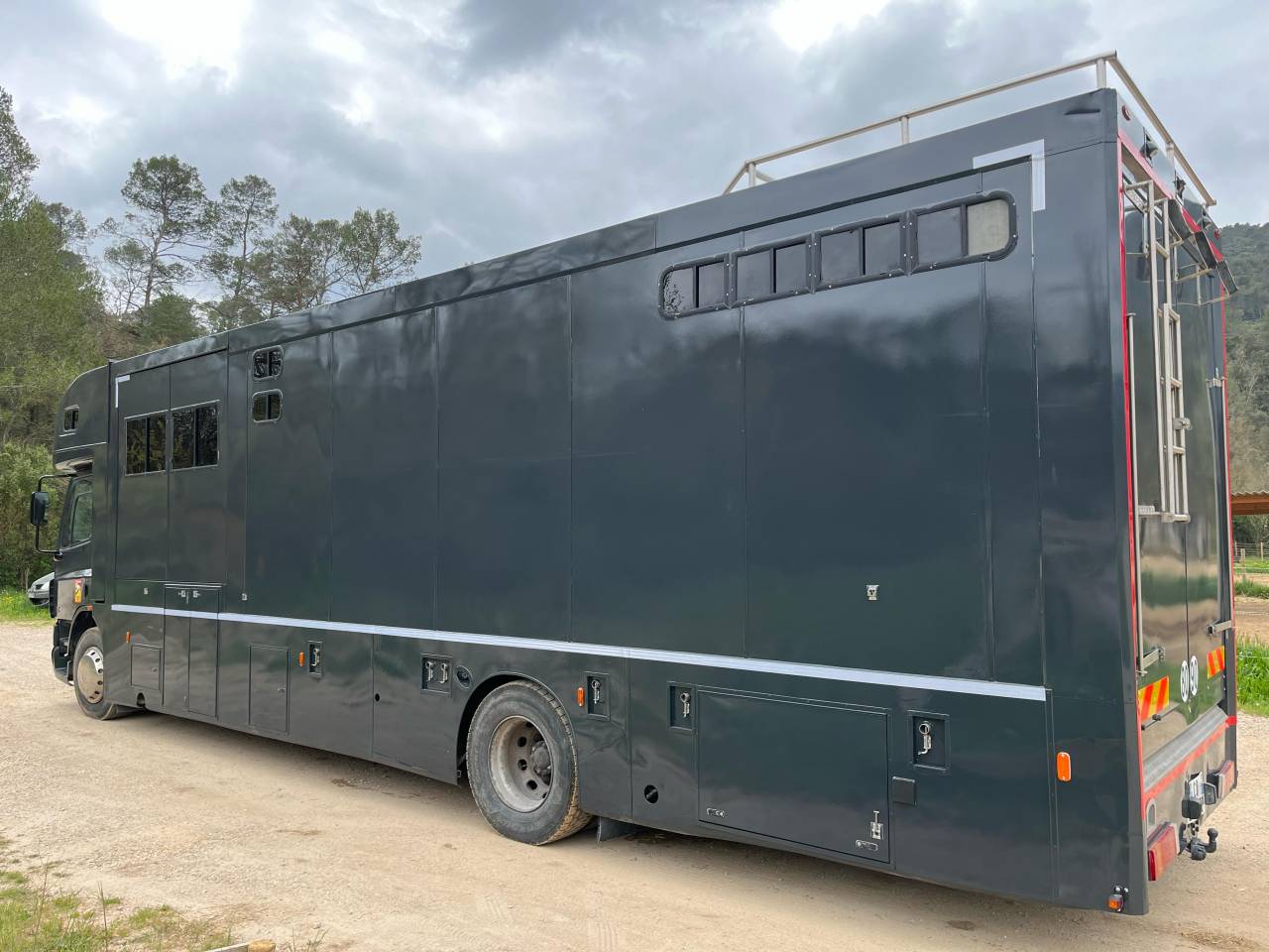 Zware paardenvrachtwagen (groot rijbewijs) Daf  2004 Tweedehands