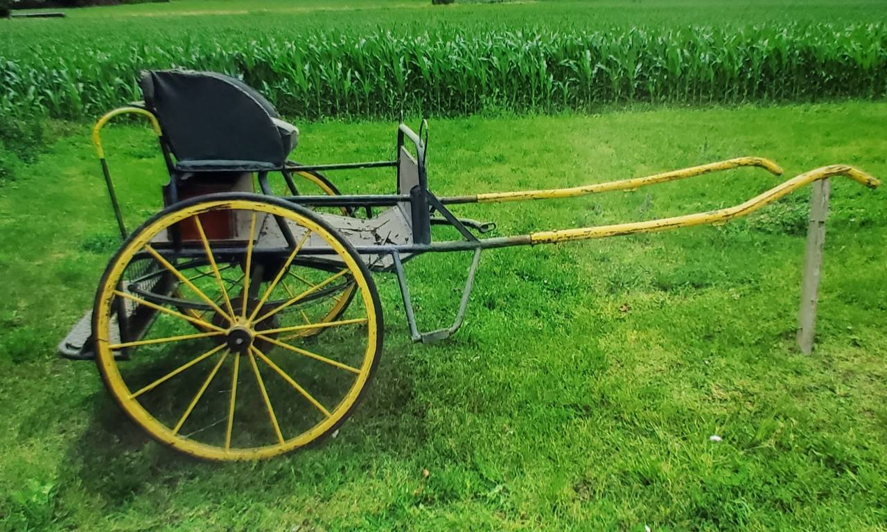 Rijtuigen - Ander rijtuig - Ander merk -  