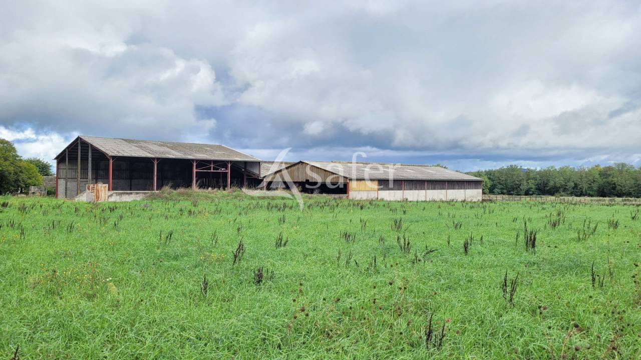 Ander plattelands vastgoed Koop tarn