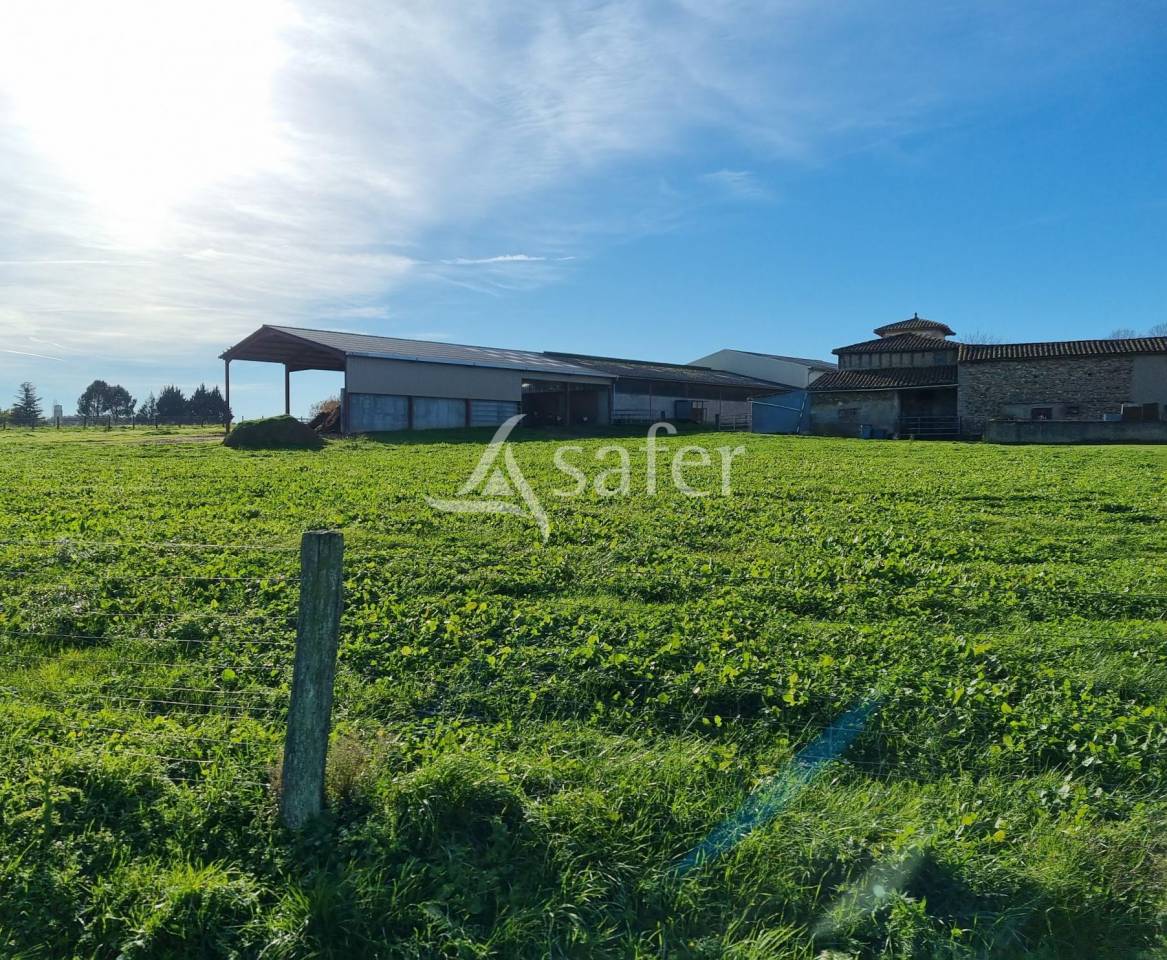 Ander plattelands vastgoed Koop tarn