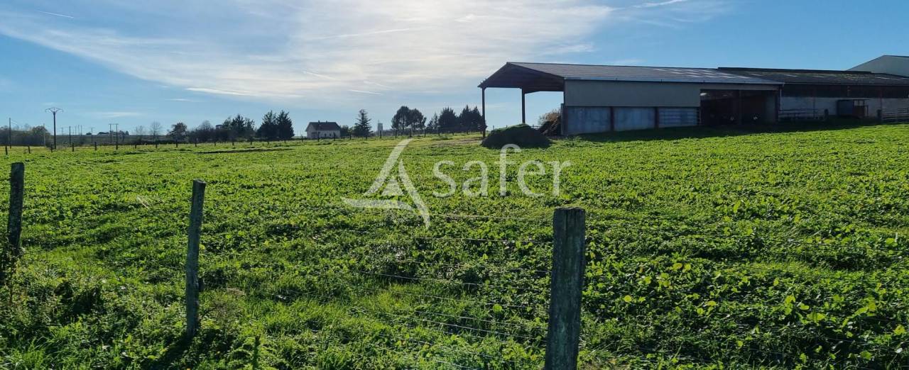 Ander plattelands vastgoed Koop tarn