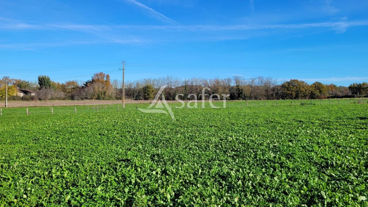 Ander plattelands vastgoed Koop tarn