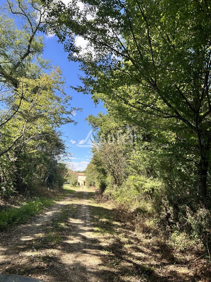 Landbouw bedrijf Koop Gers