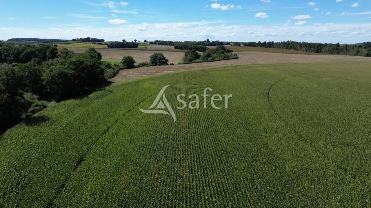 Landbouw bedrijf Koop Gers