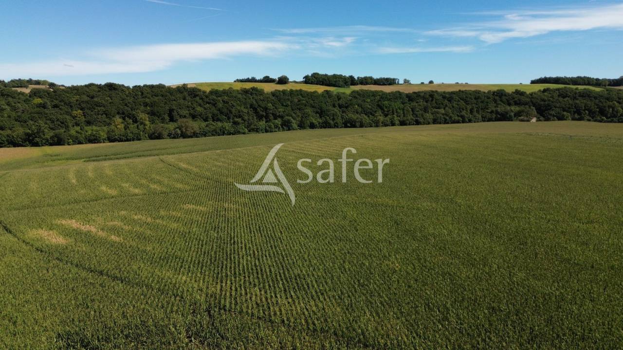 Landbouw bedrijf Koop Gers