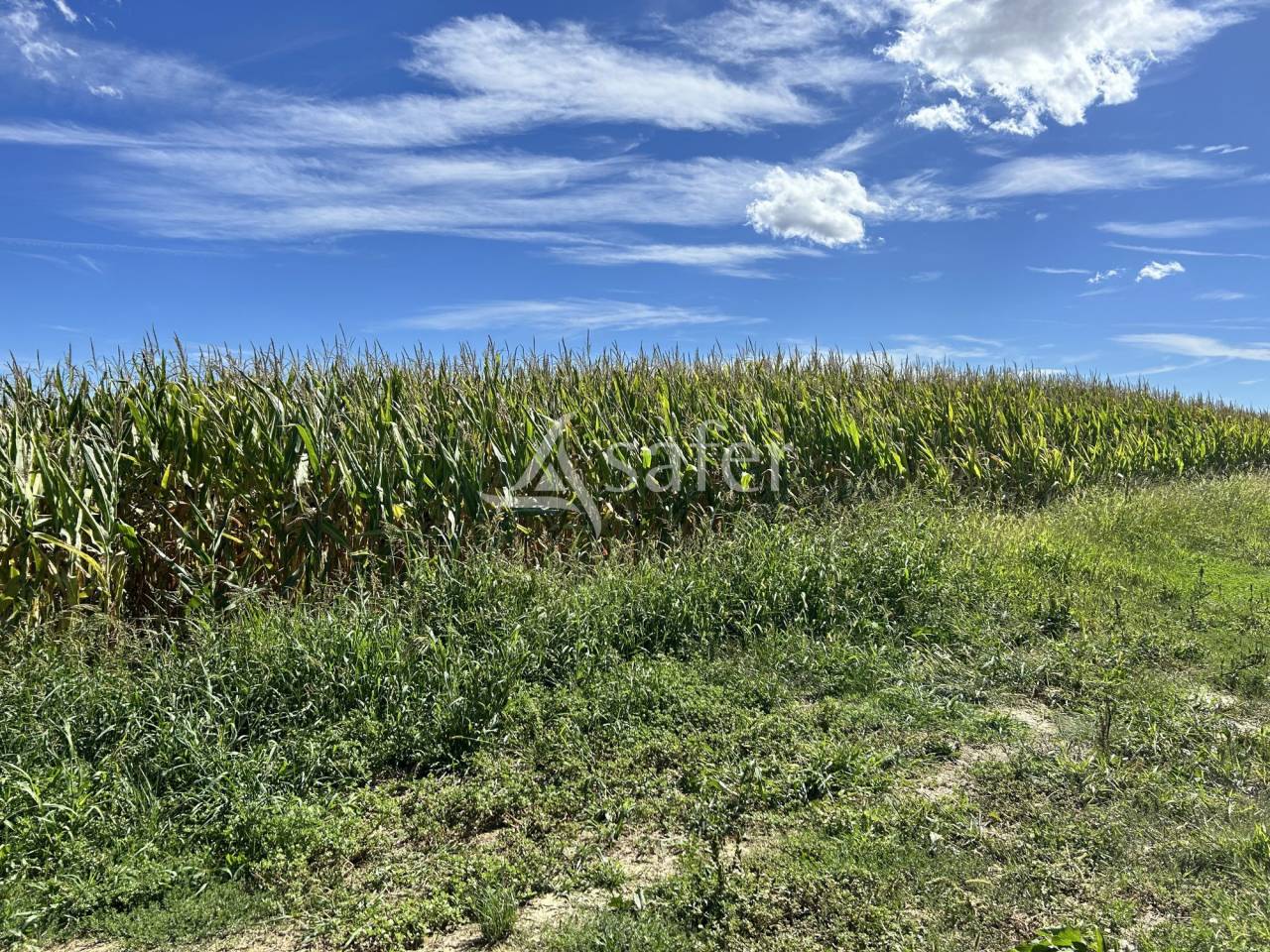 Landbouw bedrijf Koop Gers