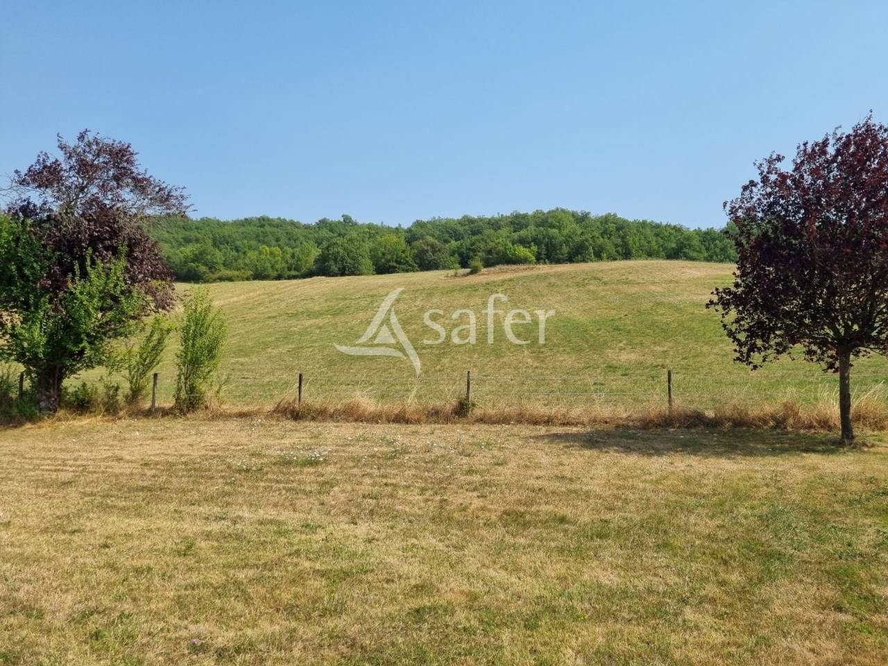 Landbouw bedrijf Koop Haute-Garonne