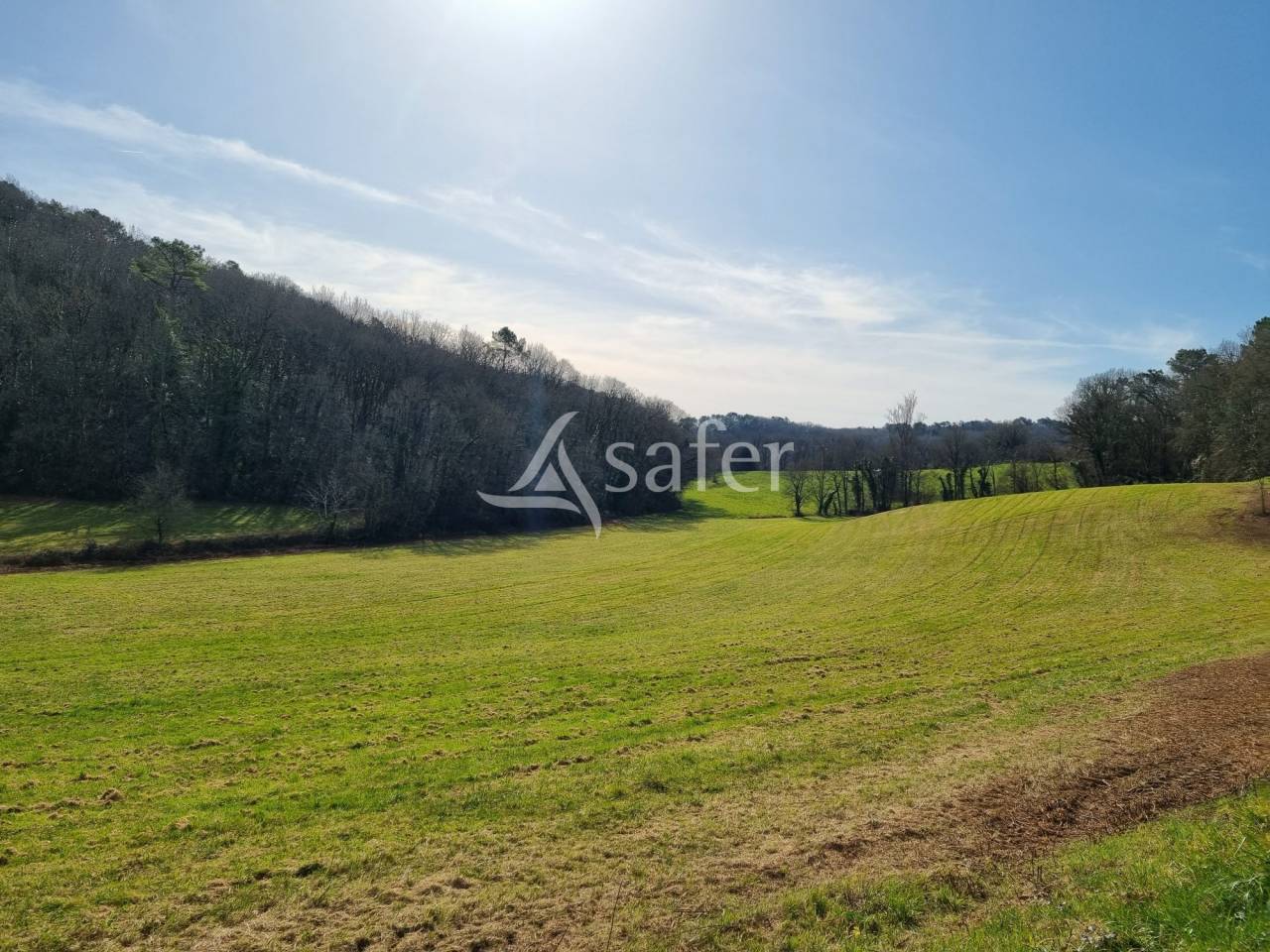 Landbouw bedrijf Koop Lot