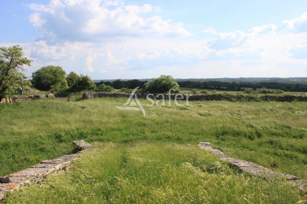 Landbouw bedrijf Koop Lot