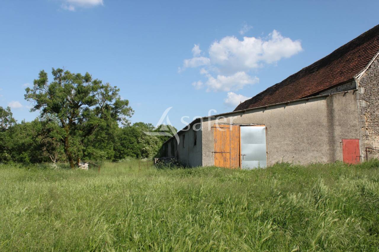 Landbouw bedrijf Koop Lot