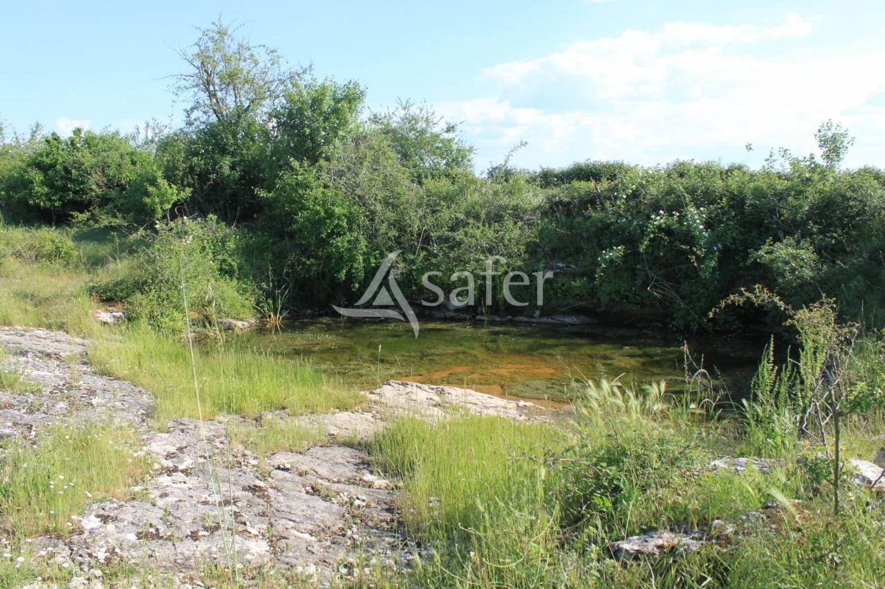 Landbouw bedrijf Koop Lot