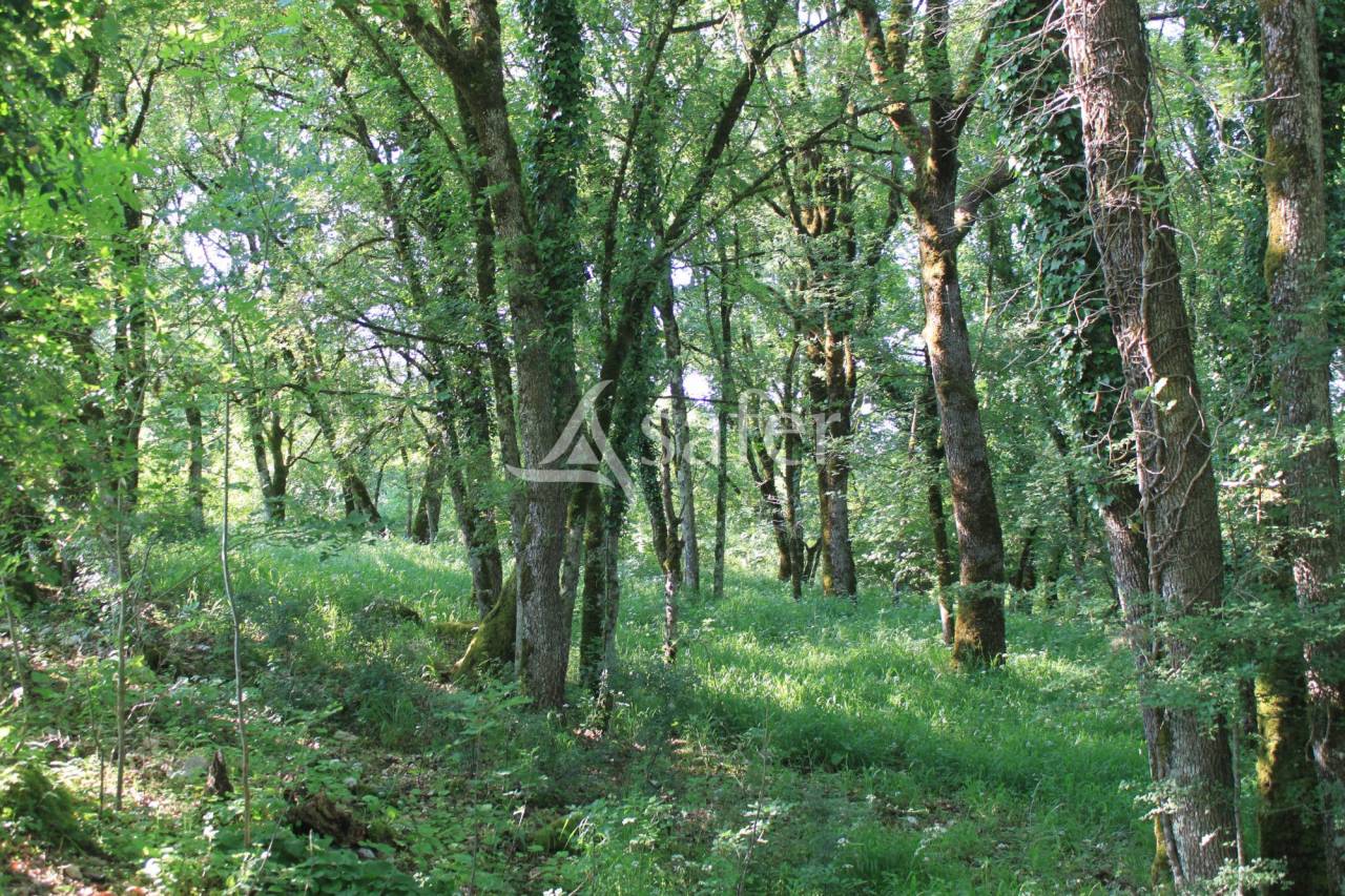 Landbouw bedrijf Koop Lot