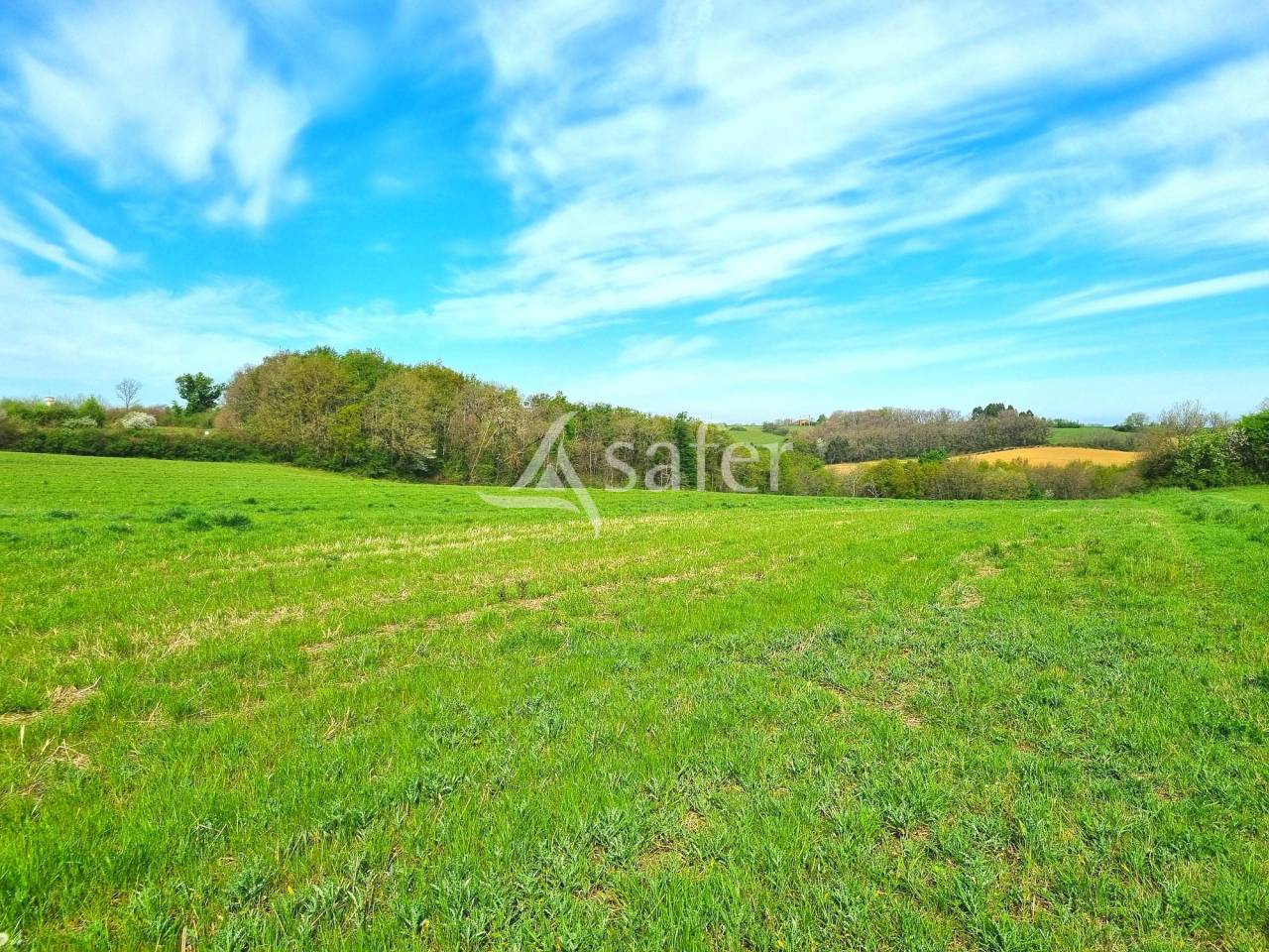 Kippen exploitatie Koop Tarn-et-Garonne