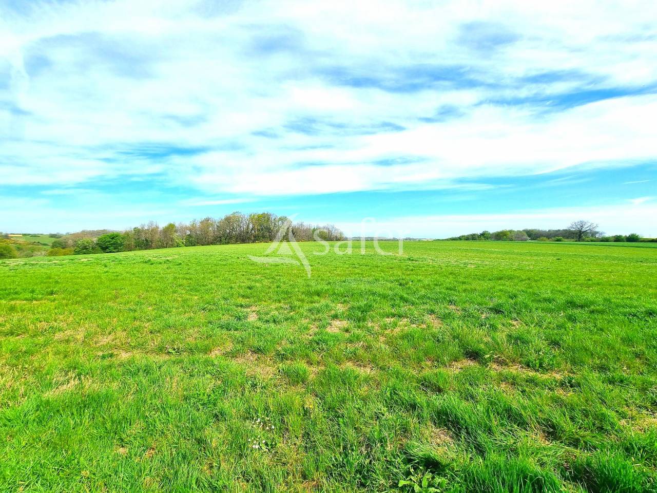 Kippen exploitatie Koop Tarn-et-Garonne