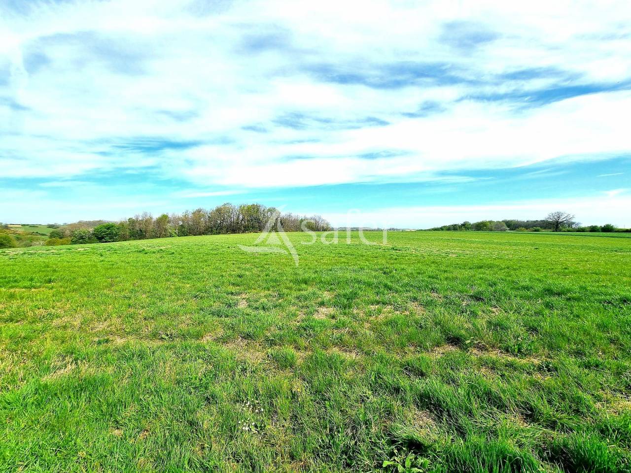 Kippen exploitatie Koop Tarn-et-Garonne