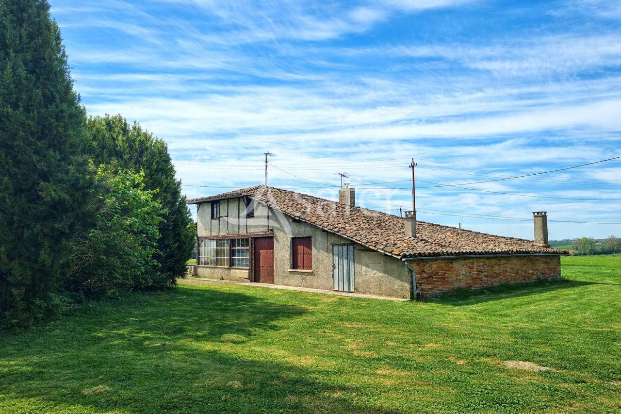 Kippen exploitatie Koop Tarn-et-Garonne