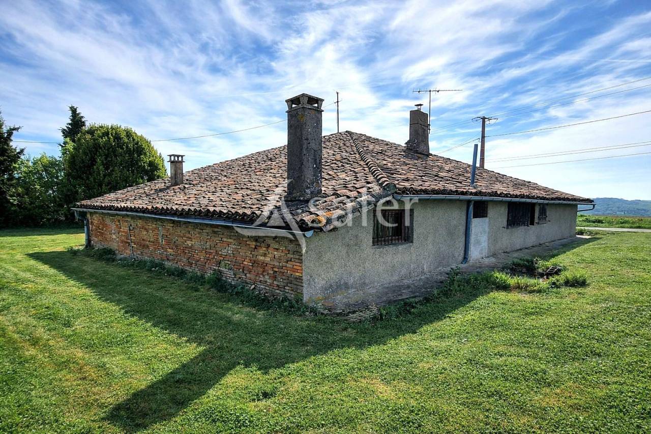 Kippen exploitatie Koop Tarn-et-Garonne